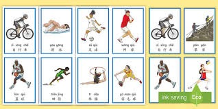 任子威：南北方合作有助于越来越多人感受冰雪运动的魅力